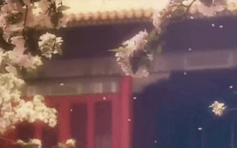 关于后文艺生活 赵赵新作《闲的》分享会举办
